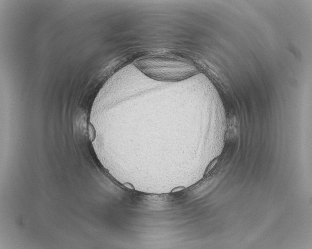 X0000115630238200912081050