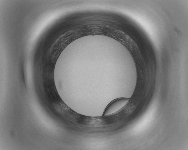 X0000115630239200912081050