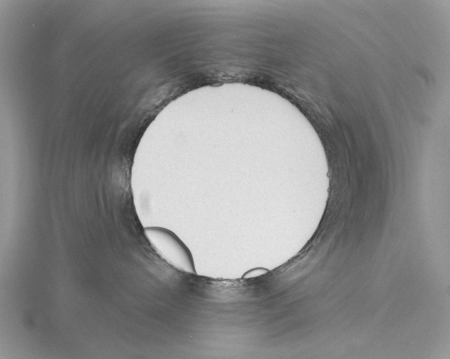 X0000115630240200912081050