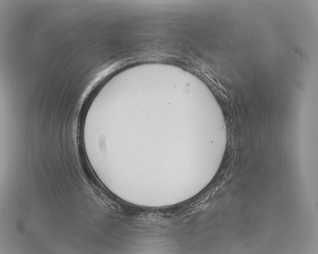 X0000115630244200912081049