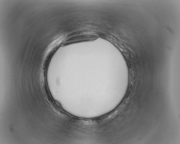 X0000115630245200912081049