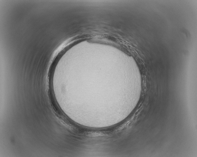 X0000115630246200912081049