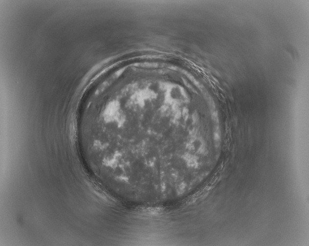 X0000115630247200912081049