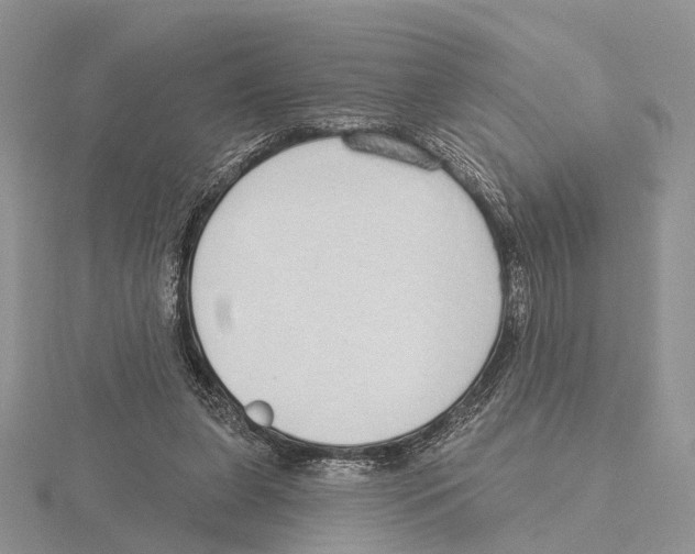X0000115630255200912081049