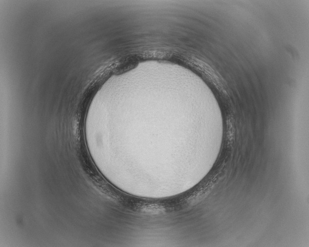 X0000115630258200912081049