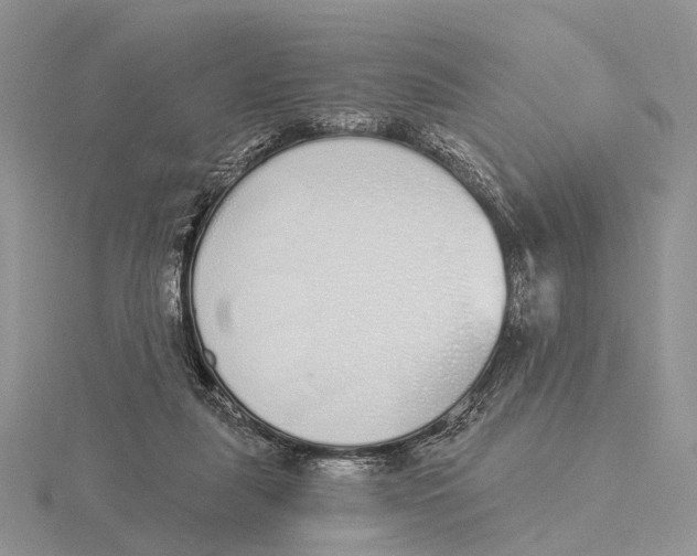 X0000115630259200912081049
