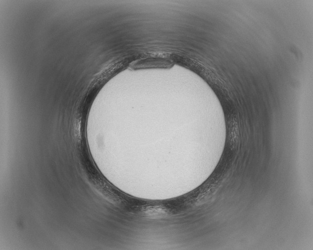 X0000115630262200912081050