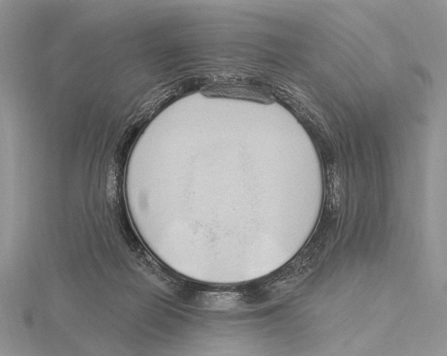 X0000115630266200912081050
