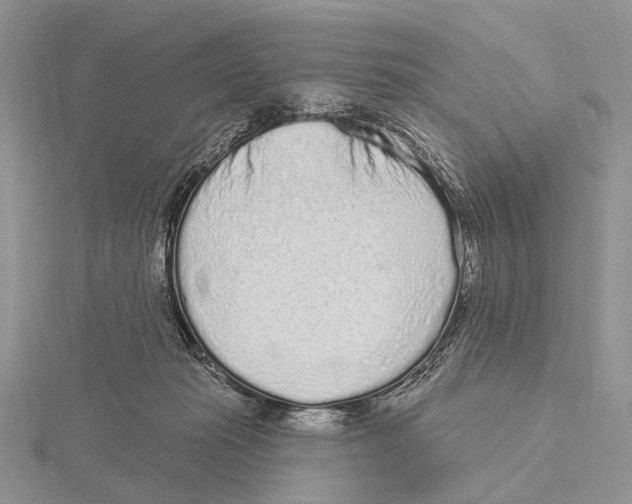 X0000115630269200912081050
