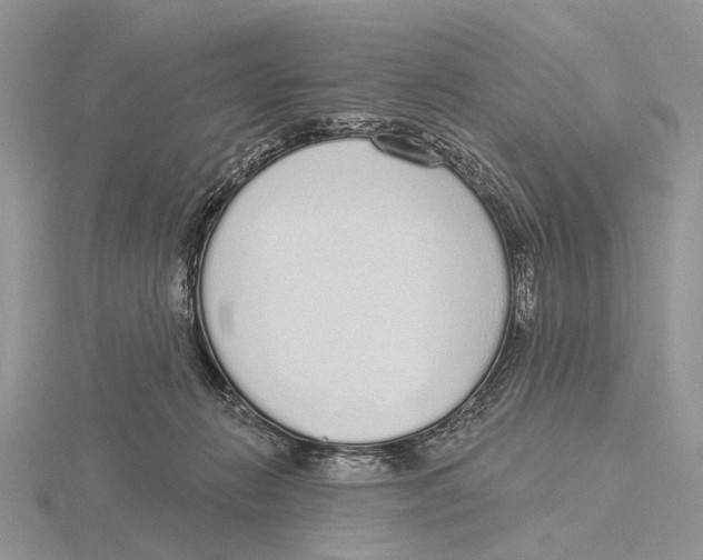 X0000115630270200912081050