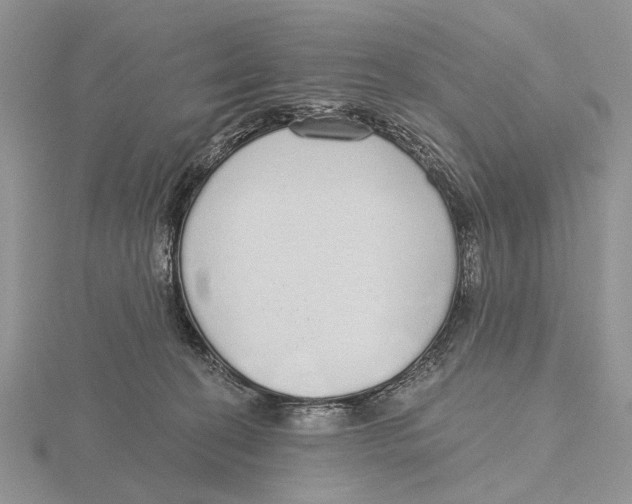 X0000115630274200912081050