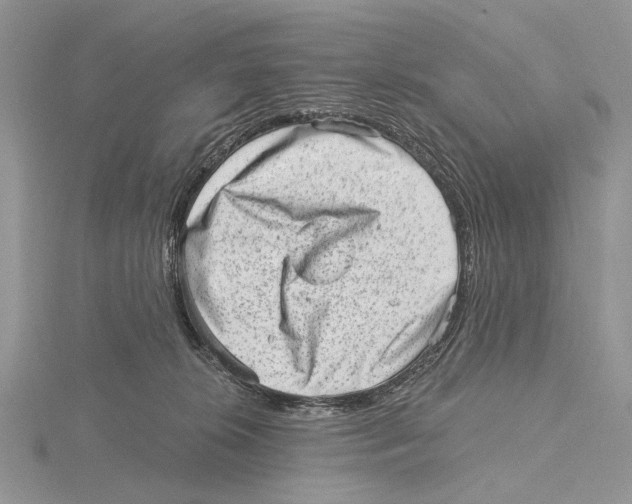 X0000115630276200912081050