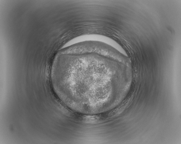 X0000115630277200912081050
