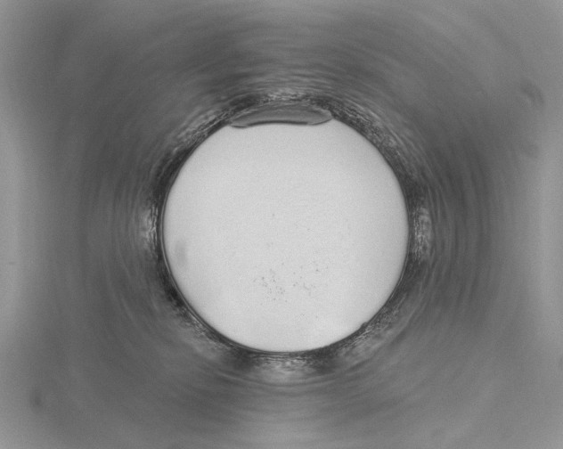 X0000115630278200912081050