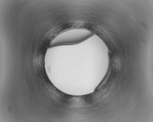 X0000115630280200912081050