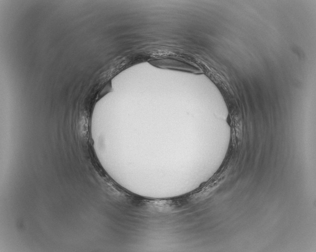 X0000115630281200912081050