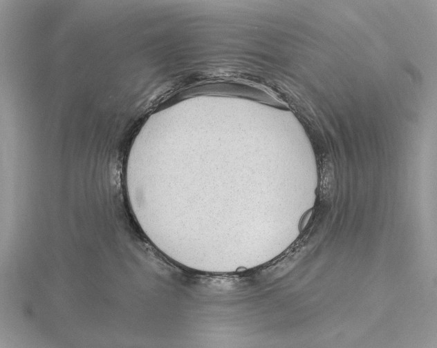 X0000115630282200912081050
