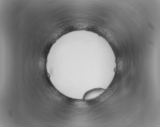 X0000115630283200912081050