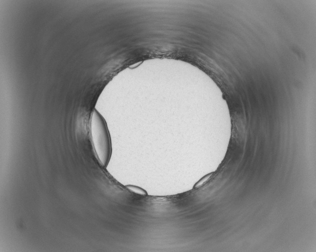 X0000115630287200912081050