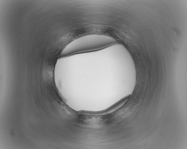 X0000115630288200912081050