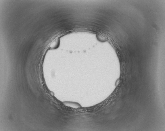 X0000115630289200912081049
