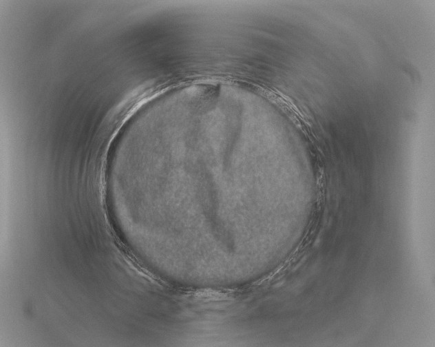 X0000115630290200912081049