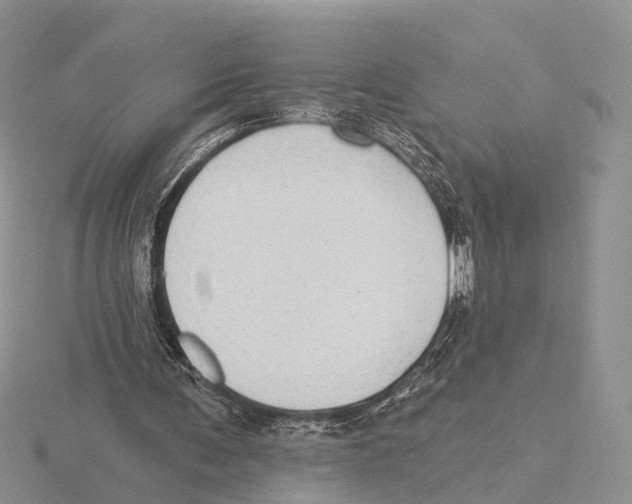 X0000115630291200912081049