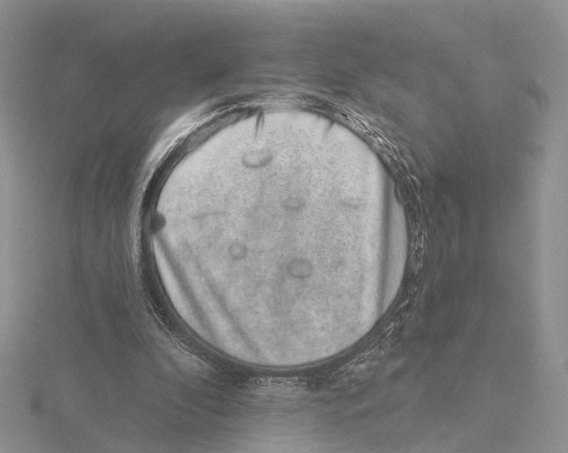 X0000115630296200912081049