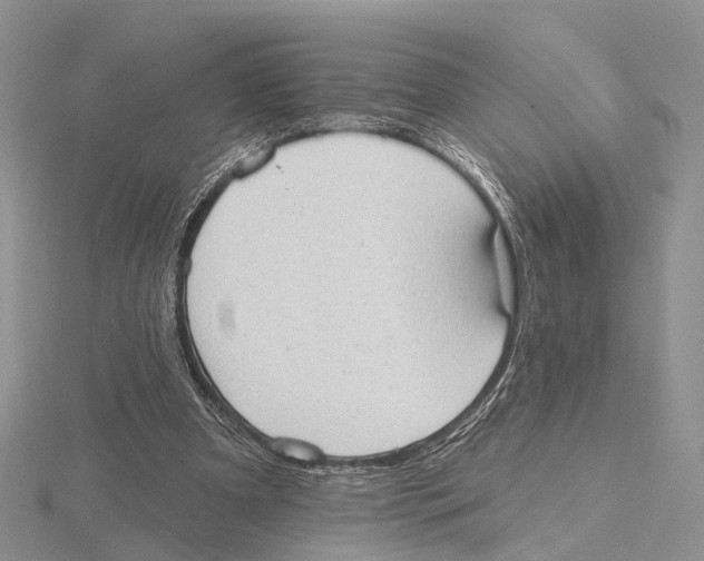 X0000115630297200912081049