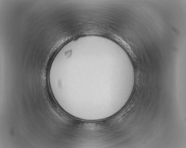 X0000115630298200912081049