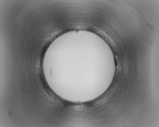 X0000115630306200912081049