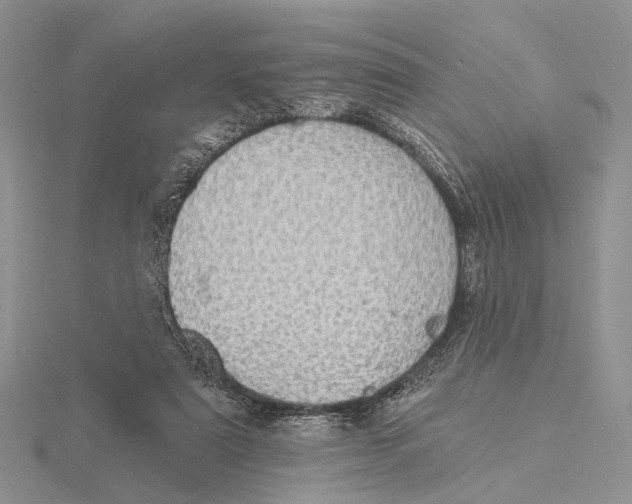 X0000115630307200912081049