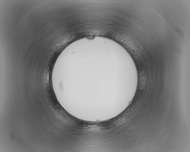 X0000115630310200912081049