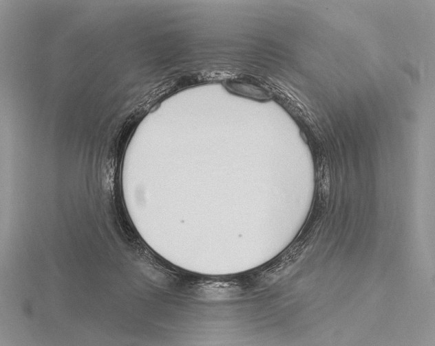 X0000115630315200912081049