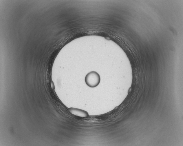 X0000115630316200912081049