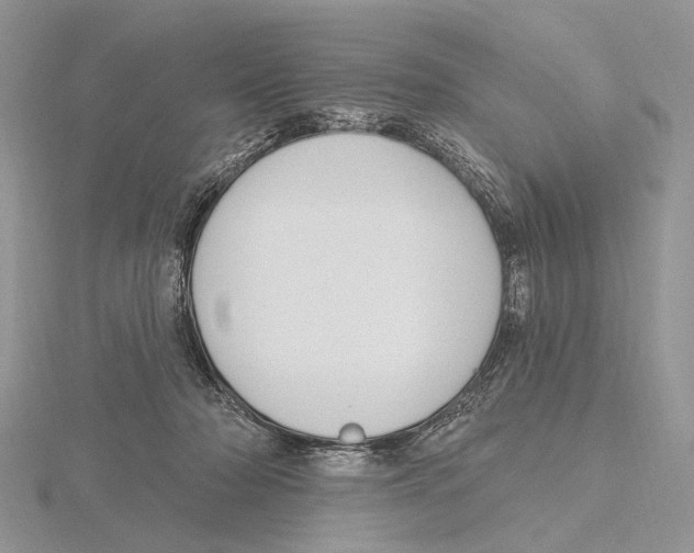 X0000115630318200912081049