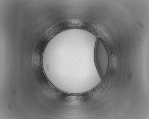 X0000115630323200912081049