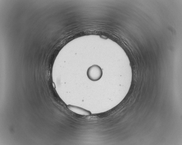 X0000115630324200912081049