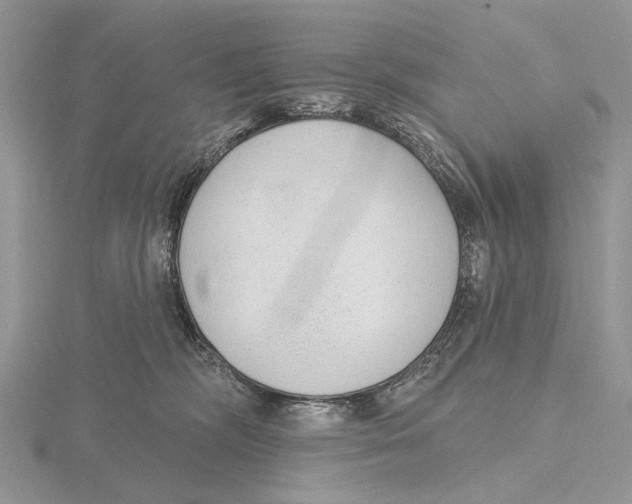 X0000115630326200912081049