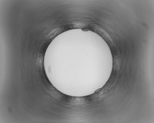 X0000115630329200912081049