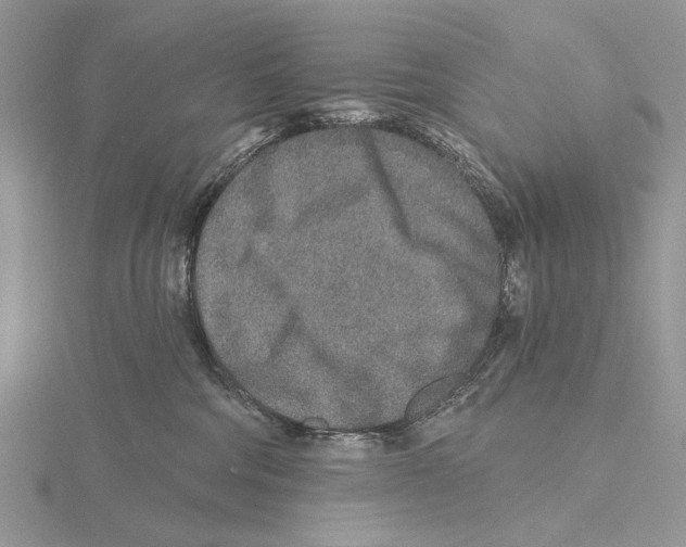 X0000115630330200912081049
