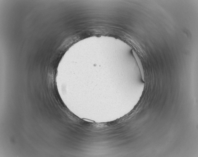 X0000115630333200912081049