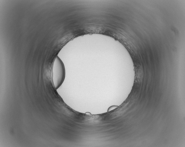 X0000115630334200912081049