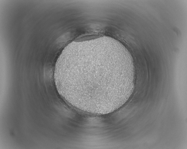 X0000115630336200912081048
