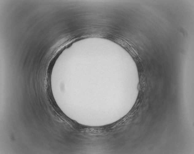 X0000115630338200912081048