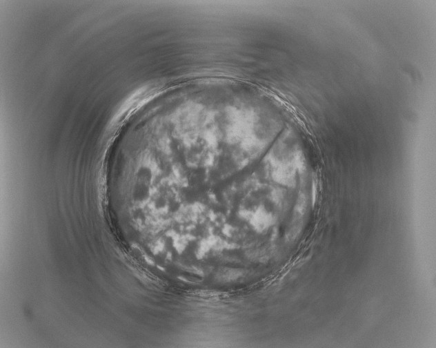 X0000115630339200912081048