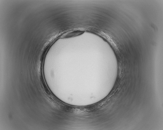 X0000115630346200912081048