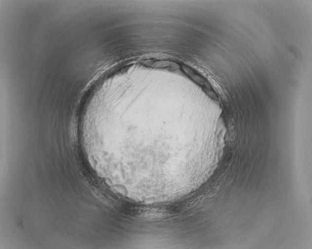 X0000115630347200912081048