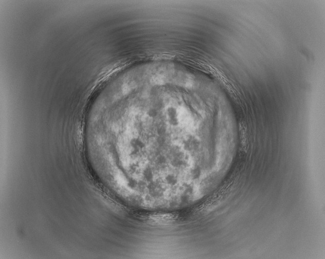 X0000115630357200912081048