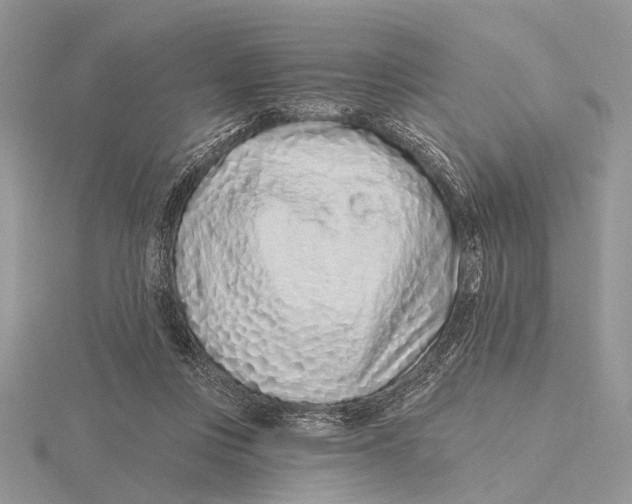 X0000115630359200912081048